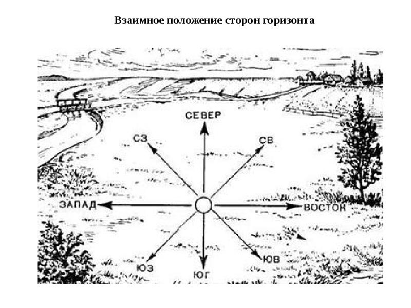 Схема единых ориентиров