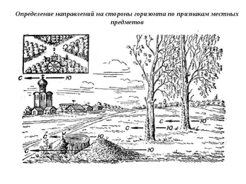 Ориентирование на местности по местным признакам презентация