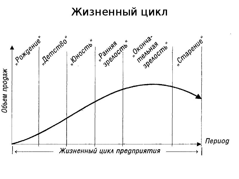 Схема жизненного цикла компании