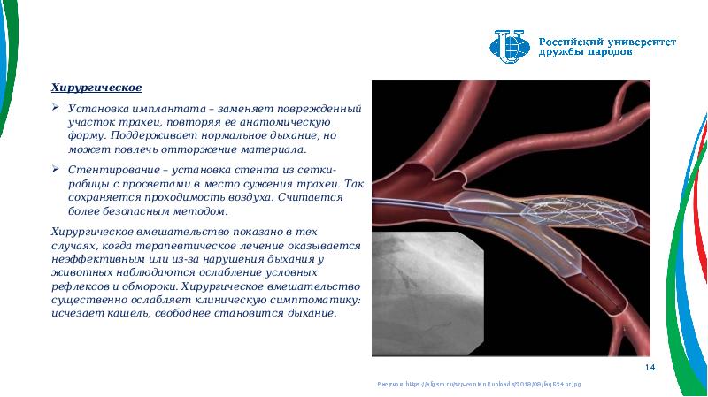 Рак трахеи клинические рекомендации