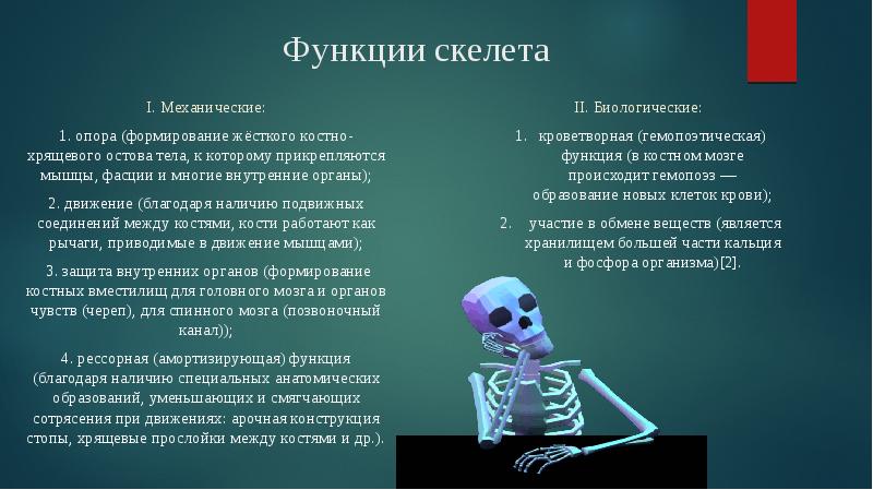 Механической функции скелета человека. Функции скелета. Биологические функции скелета. Механические функции скелета. Функции скелета человека механическая и биологическая.