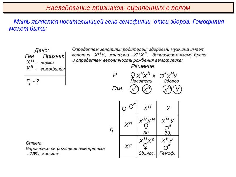 Наследование признаков сцепленных с полом презентация