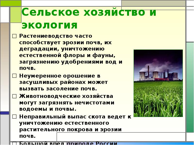 проблемы сельского хозяйства и их решения. пути решения экологических проблем сельского хозяйства. экологические проблемы сельского хозяйства и пути их решения. перечислите основные экологические проблемы сельского хозяйства?. растениеводство экологические проблемы и их решения.