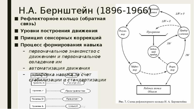 Схема рефлекторного кольца