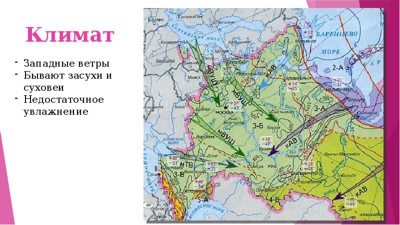 Центральный черноземный район презентация