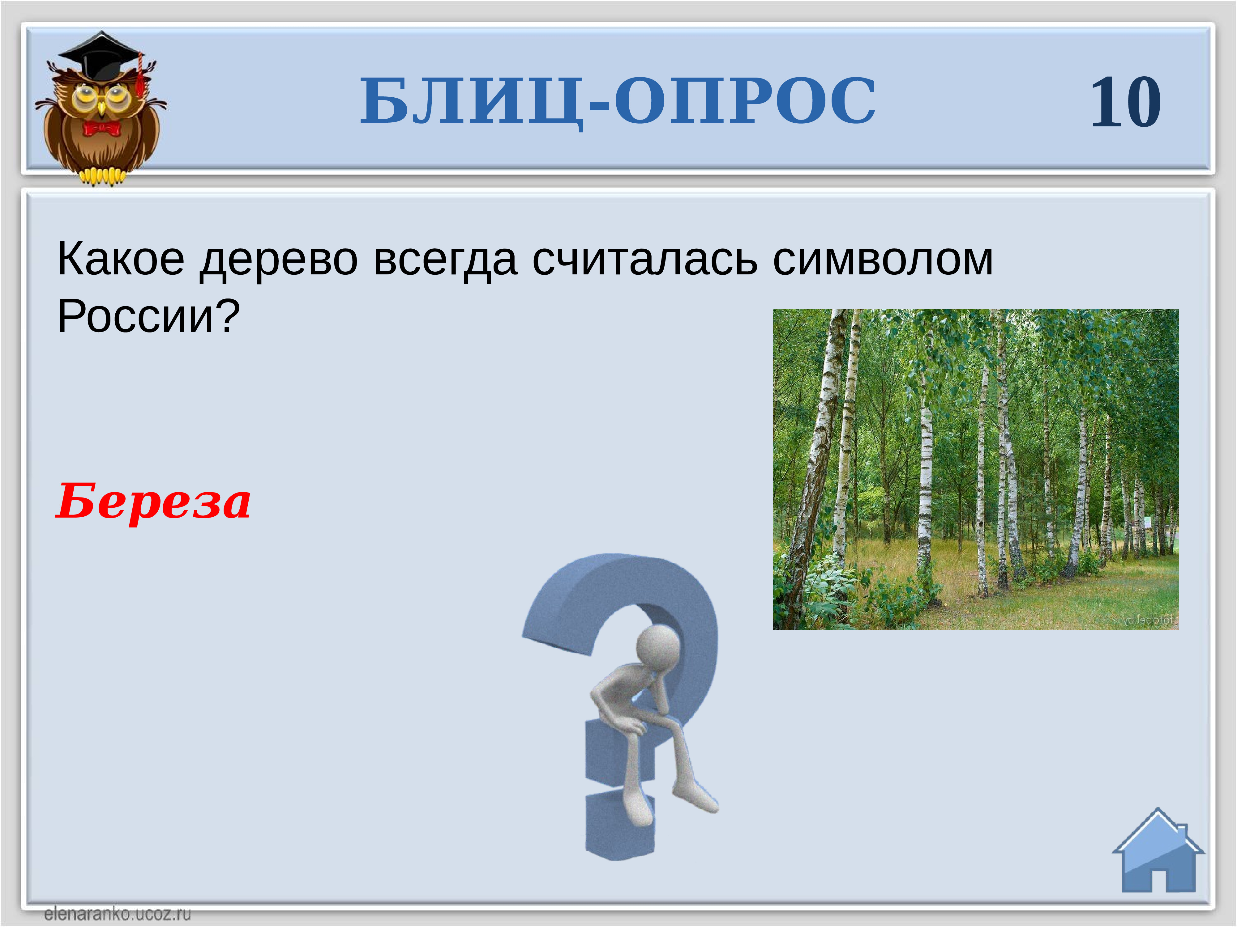 Что считается символом. Опрос какой символ России береза. Символы России интеллектуальная игра. Какое дерево всегда считалась символом России?. Блиц опрос.