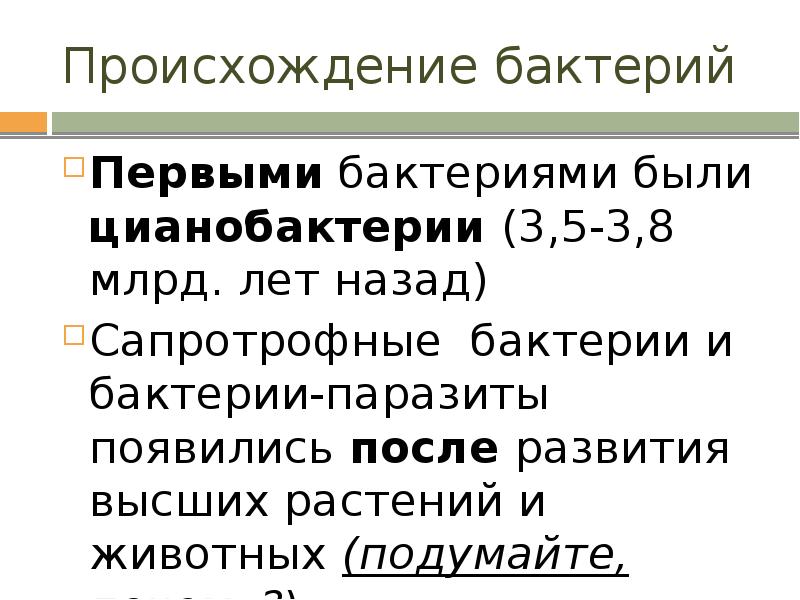 Ряды происхождения. Гипотеза возникновения бактерий. Доклад происхождение бактерий. Происхождение бактерий грибов животных и растений. Происхождение бактерий растений и животных.