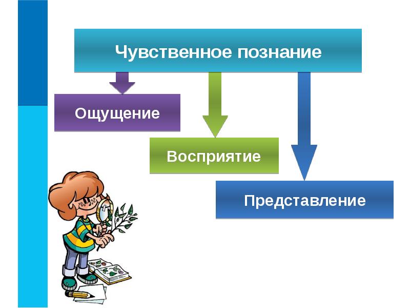 Чувственное познание картинки