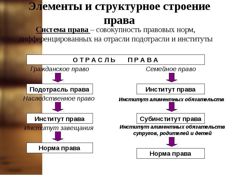 Семейное право системе отраслей