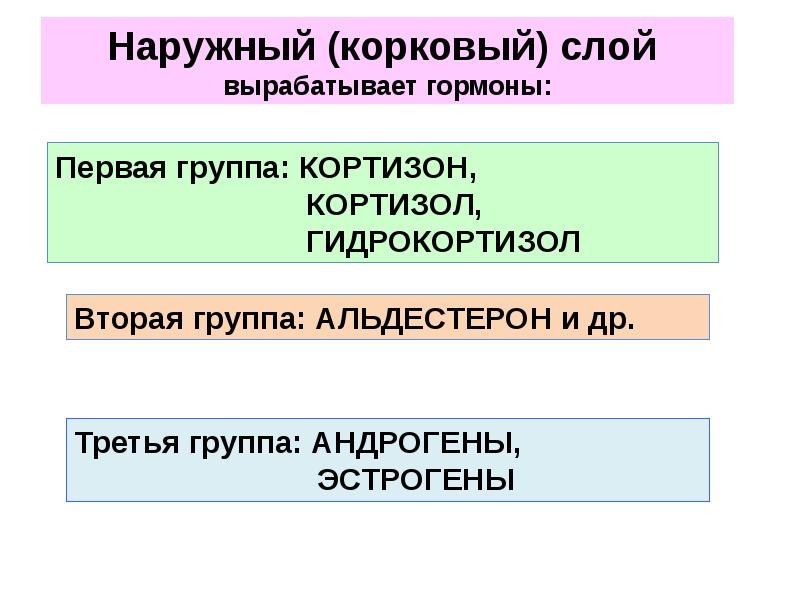 Презентация роль эндокринной регуляции биология 8 класс