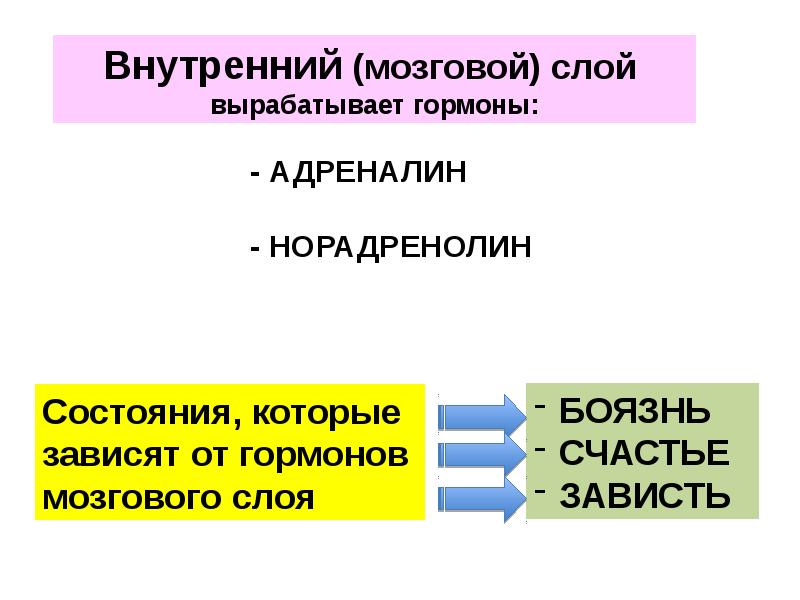 Роль эндокринной регуляции презентация