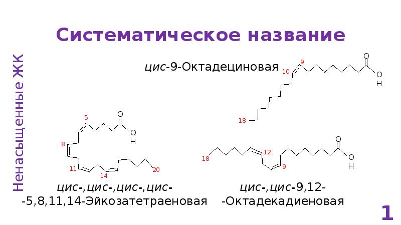 Систематическое название. Номенклатура жирных кислот. Систематическое название жирных кислот. Номенклатура липидов.