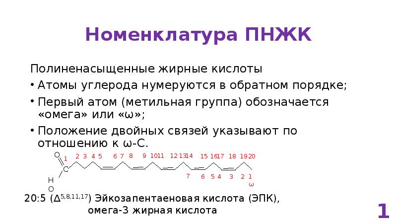 Кислота атом. Классификация и номенклатура жирных кислот. Жирные кислоты классификация роль. Номенклатура жирных кислот биохимия. Омега номенклатура высших жирных кислот.