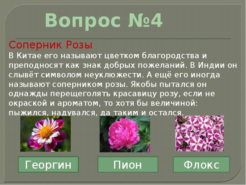 Зовут цветов. Цветок, символ благородства. Викторина легенды о цветах мифы и истории. Как называется растение викторина. В Китае соперник розы.