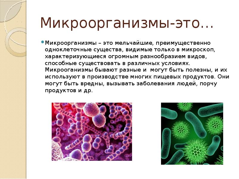 Темы презентации по микробиологии