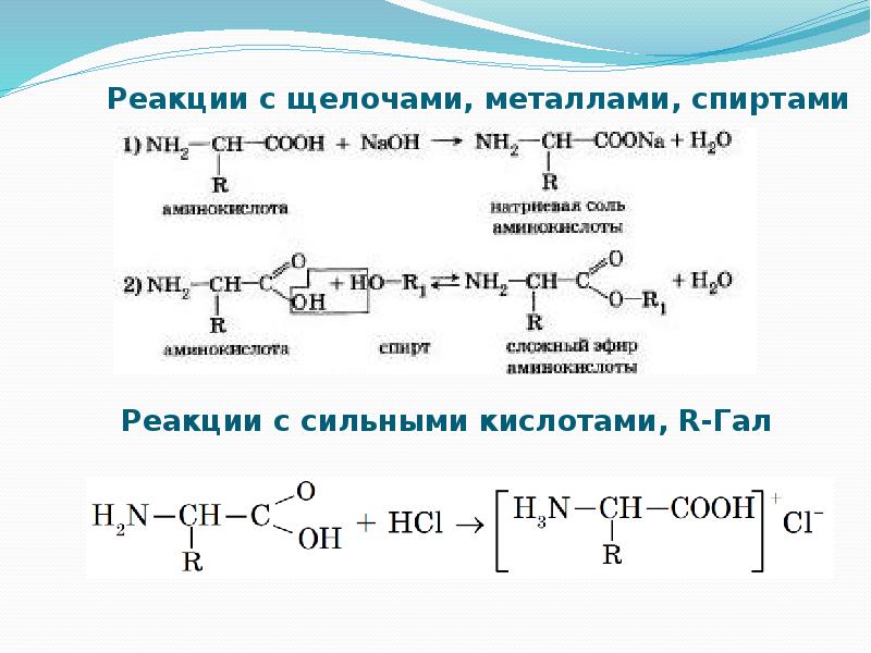 Этанол реакции. Этанол и щелочь реакция. Спирт и щелочь реакция. Взаимодействие спиртов с щелочами. Взаимодействие спиртов с металлами.