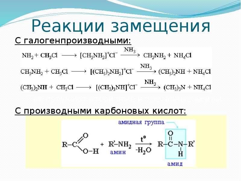 Амины аминокислоты белки презентация