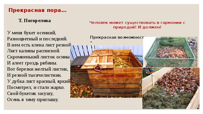 Прекрасная пора…
Т. Погорелова Прекрасная пора…
Т. Погорелова