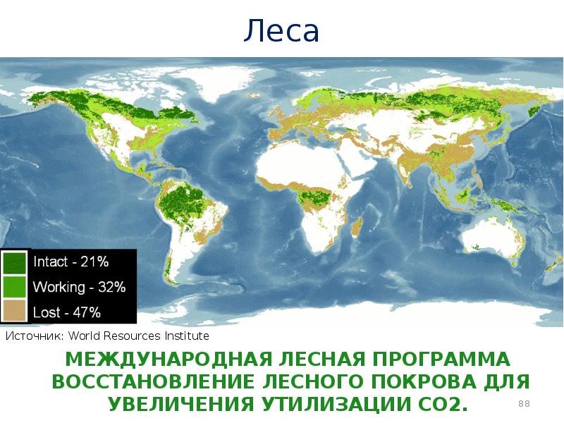 Обезлесение карта мира