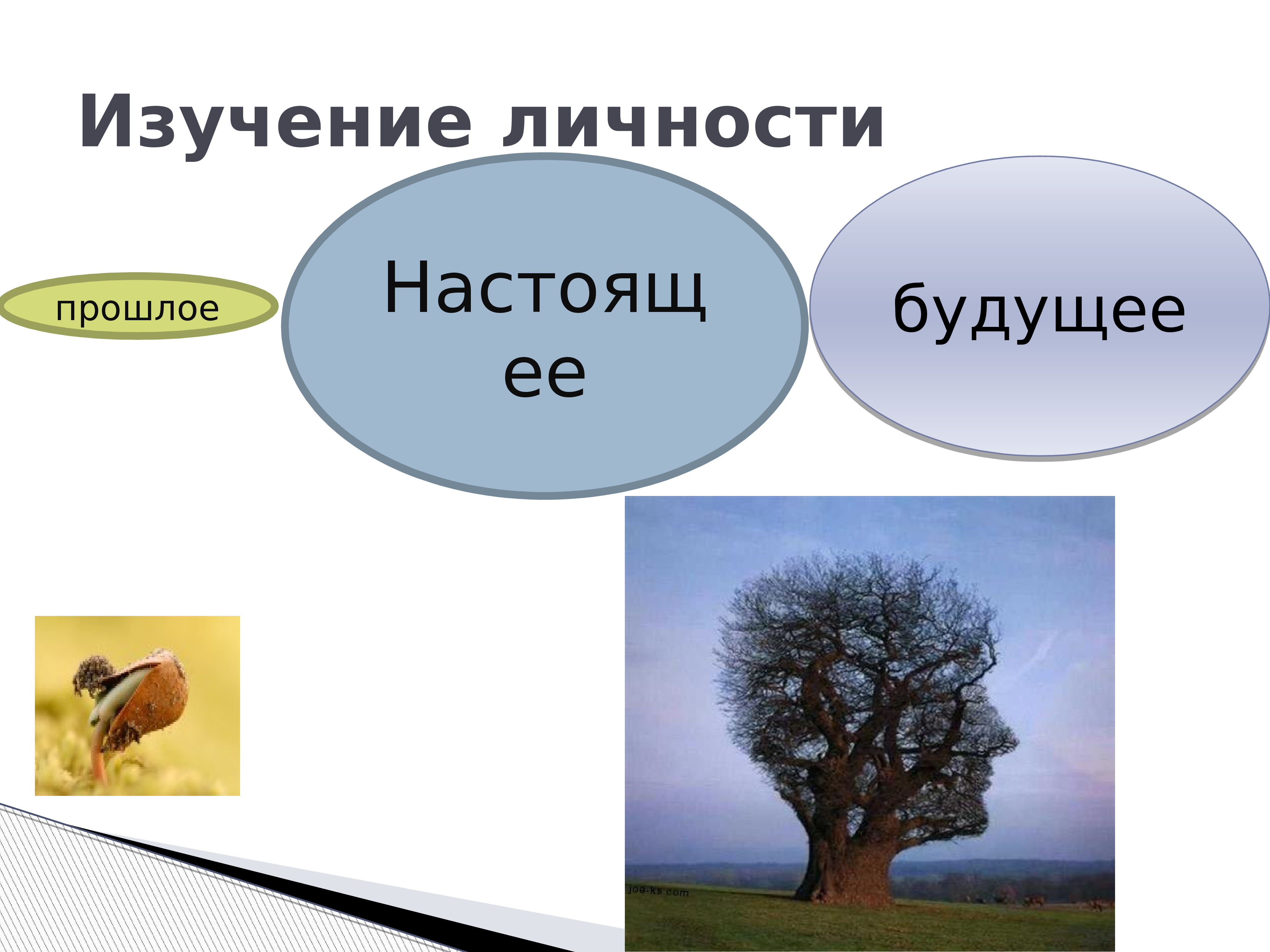 Теория личности скиннера презентация