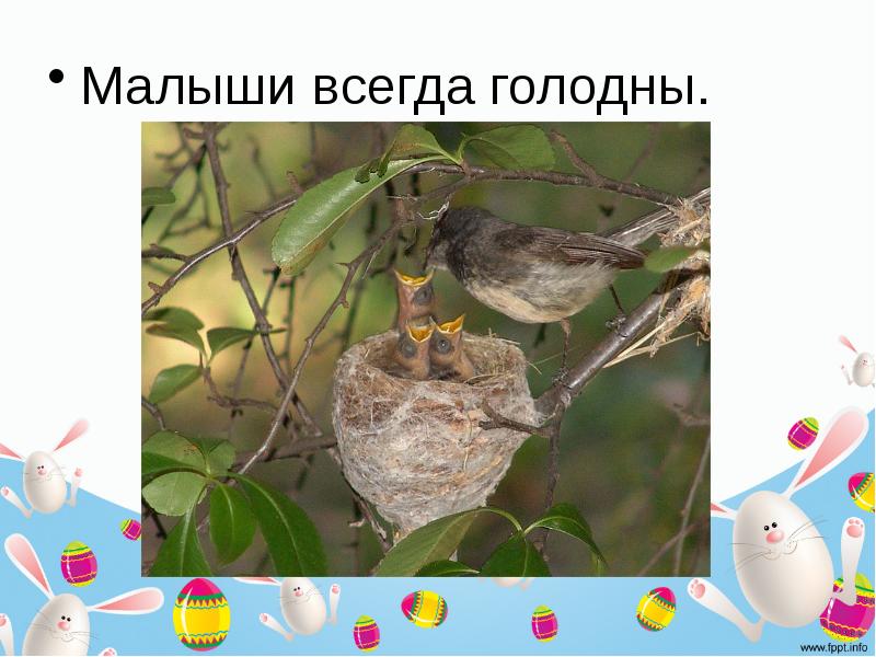 Постоянно голодная. Постоянно голодная