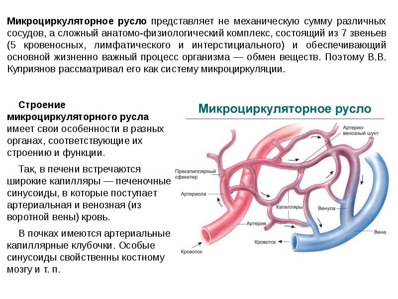 Философия сердца презентация