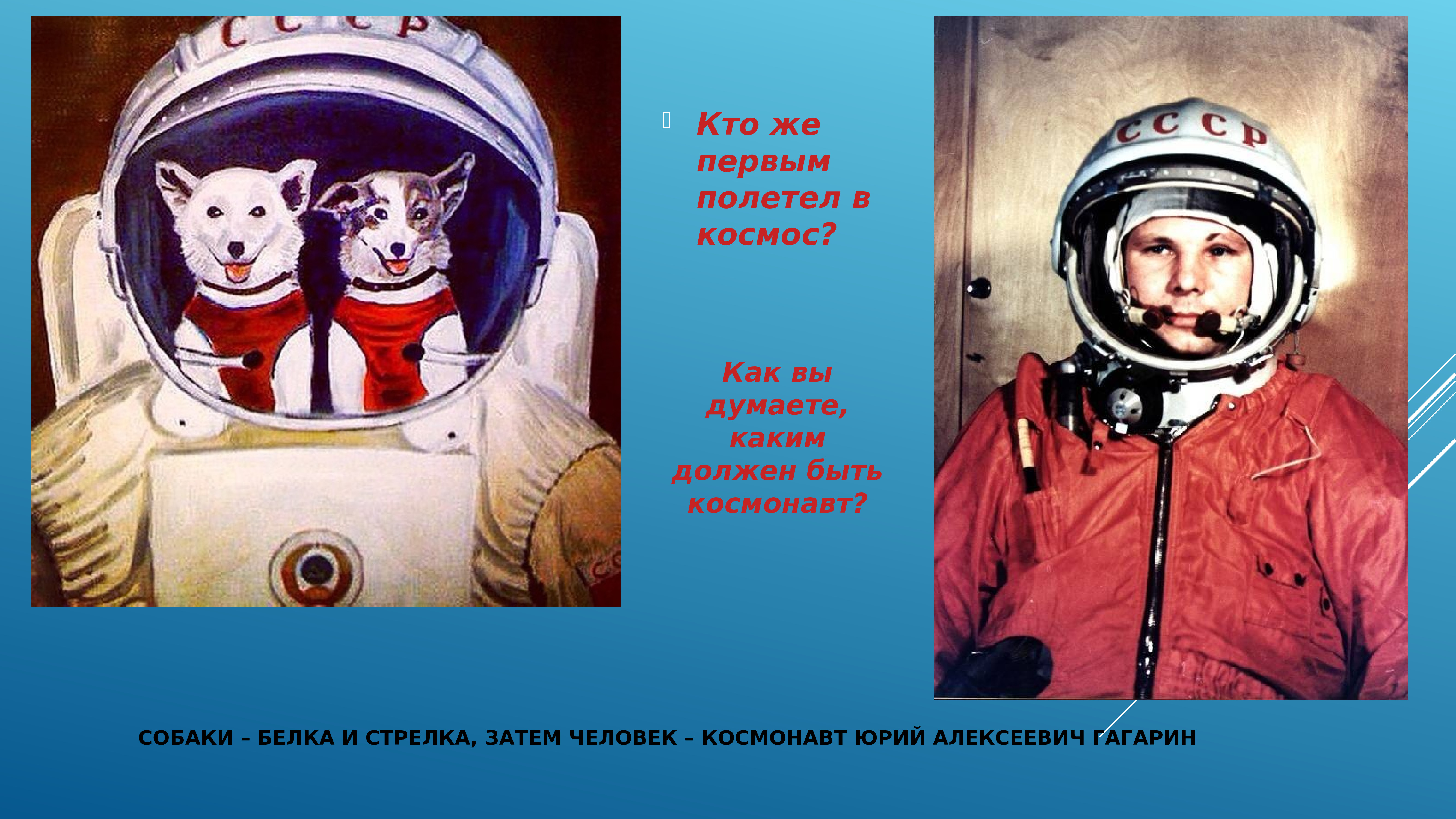 Кто первый полетел в космос в россии. Гагарин и белка и стрелка.