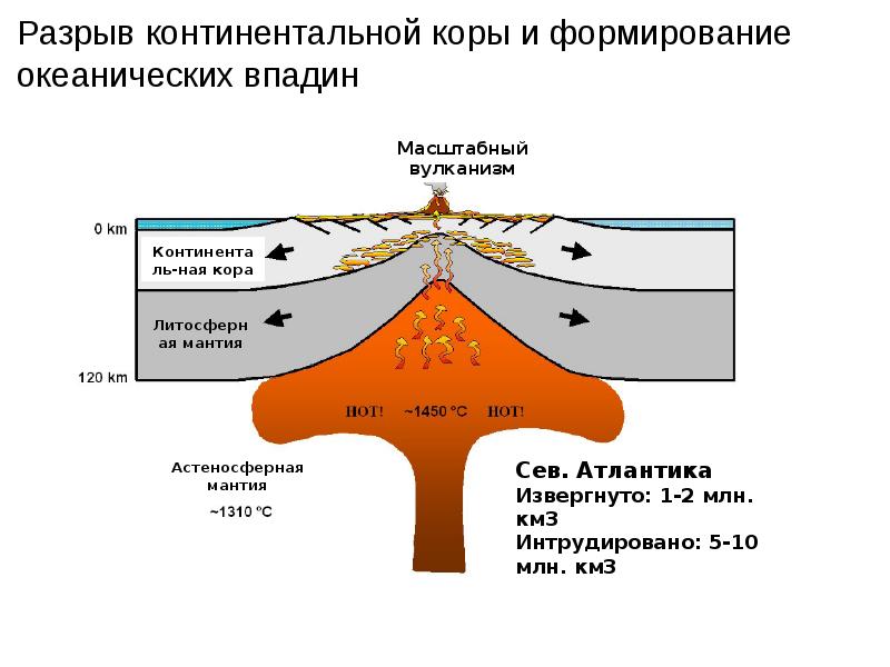 Континентальное отношение. Строение Континентальной коры. Геологическое развитие Континентальной и океанической коры. Возраст Континентальной коры.