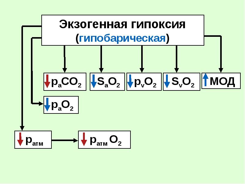 Экзогенный тип гипоксии. Экзогенный тип гипоксии
