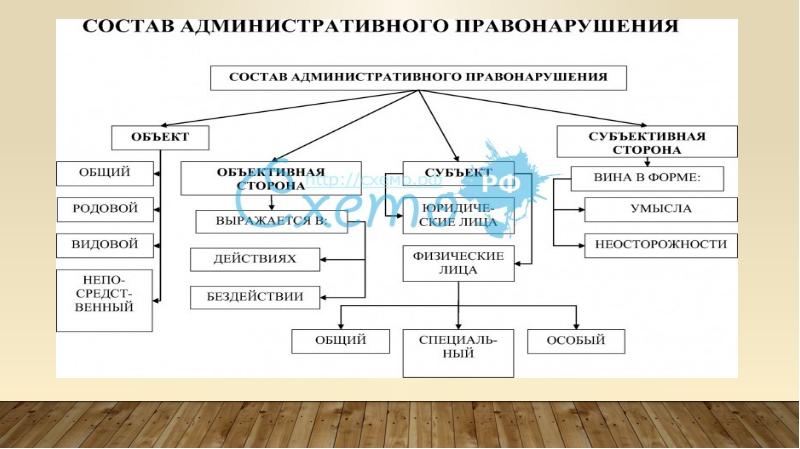 Простейшие конспект кратко