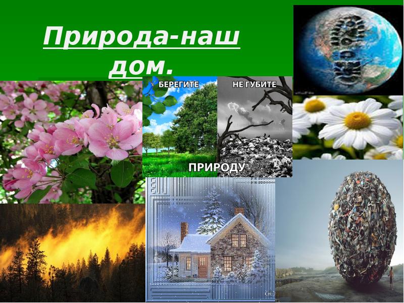 Что такое природа картинки с надписями