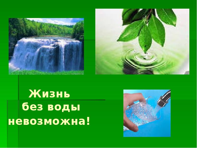 Без воды нет жизни проект