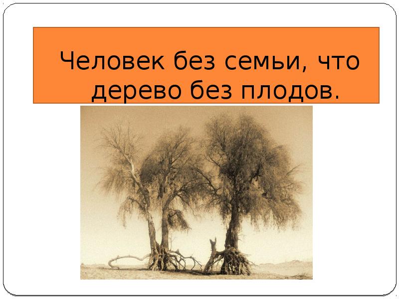 Ученый без трудов дерево без плодов тире