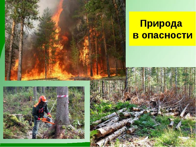 Проект природа в опасности 2 класс