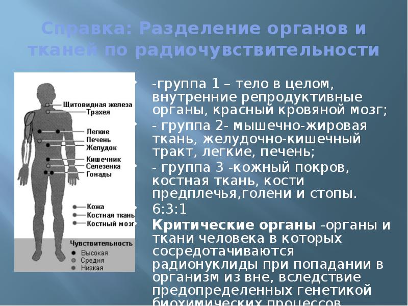 Органы и ткани 3 органа. Группы органов по радиочувствительности. Радиочувствительность группы критических органов. Радиочувствительность органов и тканей человека. Понятие о радиочувствительности.