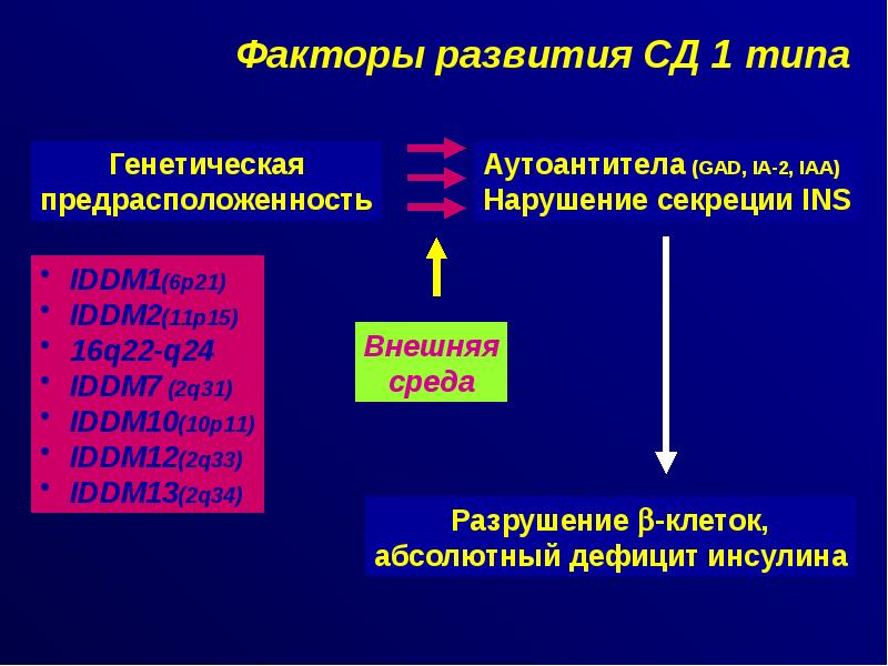 Этиология и патогенез сахарного диабета презентация