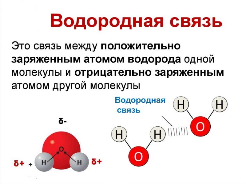 O2 строение вещества. Строение вещества. строение вещества химия. строение вещества физика. химическая связь и строение вещества.
