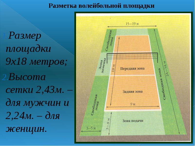 Разметка волейбольной площадки рисунок