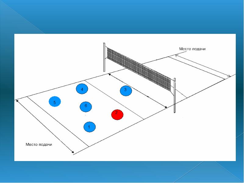 Волейбольное поле схема по зонам