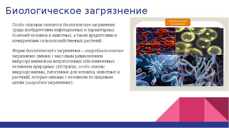 Возбудители паразитарных болезней. Биологические формы. Биологическое загрязнение среды и болезни человека. Биологические загрязнения и болезни человека таблица. Биологическое загрязнение связано с.