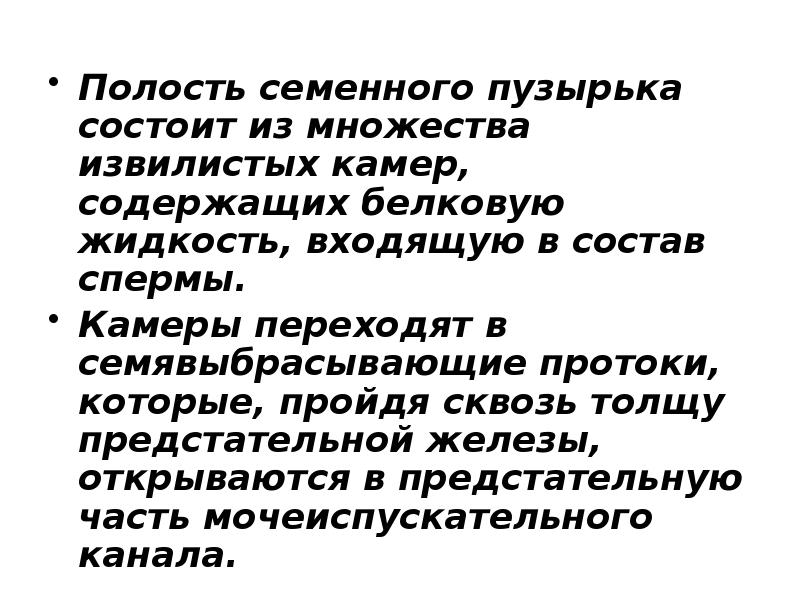 Полость семенного пузырька состоит из множества извилистых камер, содержащих белковую жидкость,