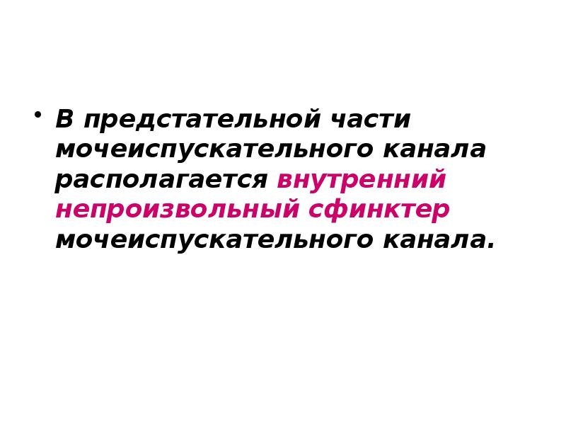 В предстательной части мочеиспускательного канала располагается внутренний непроизвольный сфинктер мочеиспускательного канала.
