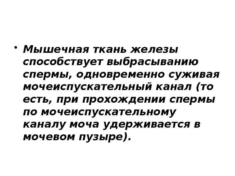 Мышечная ткань железы способствует выбрасыванию спермы, одновременно суживая мочеиспускательный канал (то