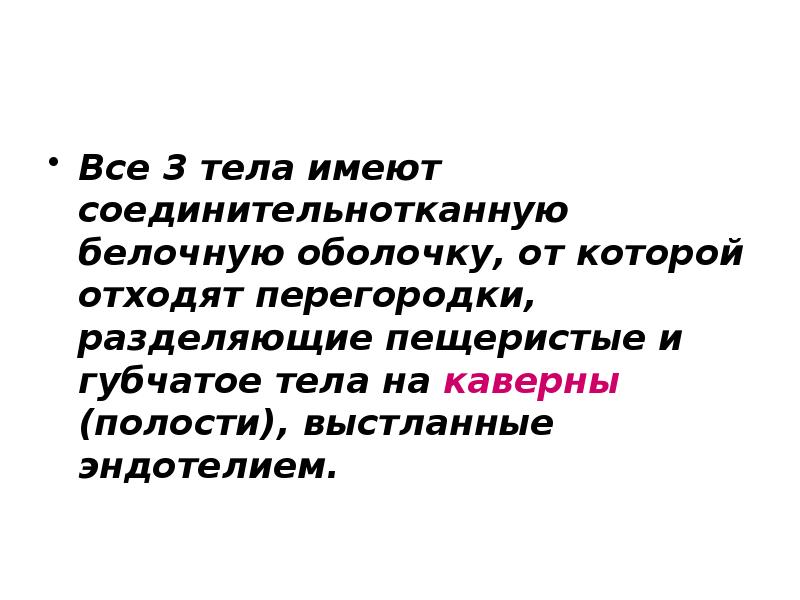 Все 3 тела имеют соединительнотканную белочную оболочку, от которой отходят перегородки,