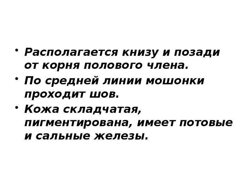 Располагается книзу и позади от корня полового члена.  По средней