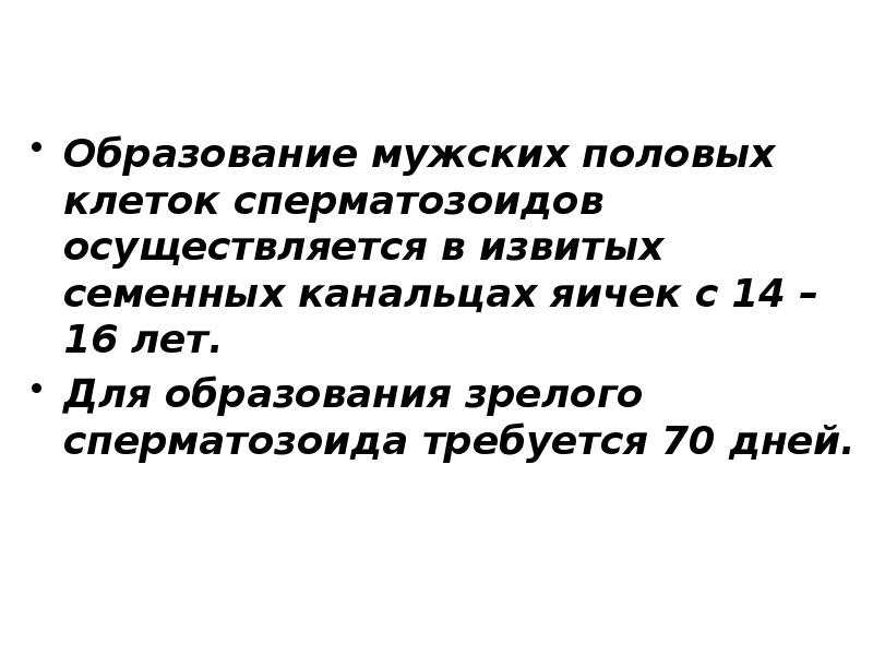 Образование мужских половых клеток сперматозоидов осуществляется в извитых семенных канальцах яичек