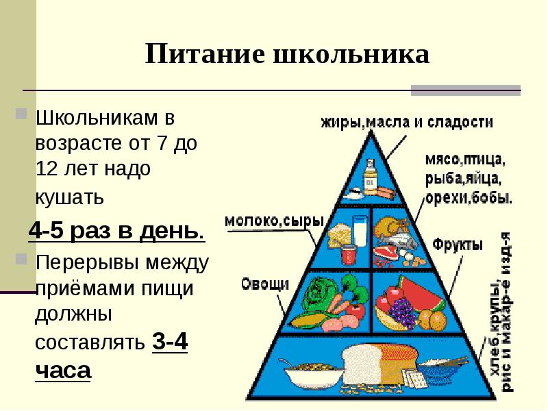 Что нужно есть школьнику. Питание школьника. Промежутки между едой. Картинки правильное питание для школьника. Перерывы между приемами пищи должны составлять.