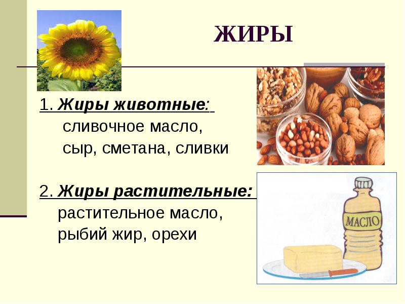 Животные жиры список. Растительные жиры презентация. Полезные животные жиры. Доклад про растительные жиры. Животный жир в каких продуктах.