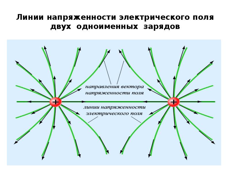 Нарисовать линии напряженности положительно заряженной частицы