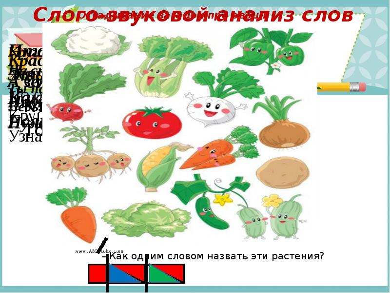 Овощи звуковая схема